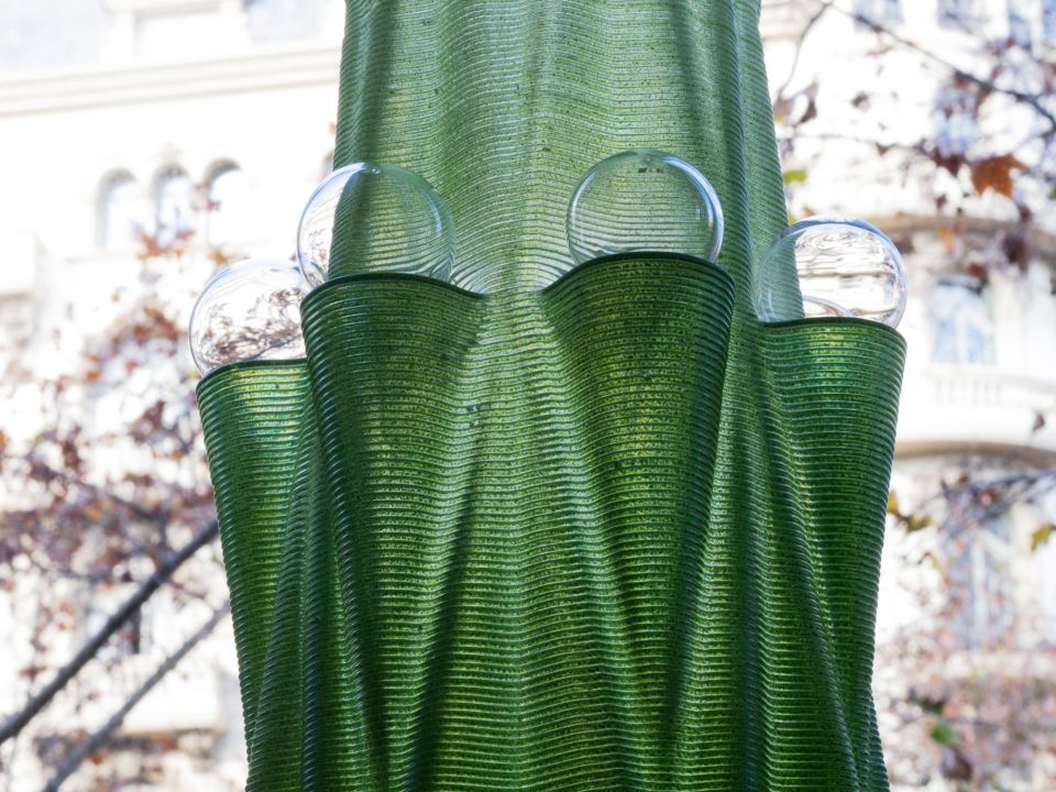 External Reference Carmelo Zappulla 3d Tree 2055 E