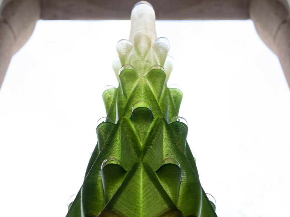 External Reference Carmelo Zappulla 3d Tree