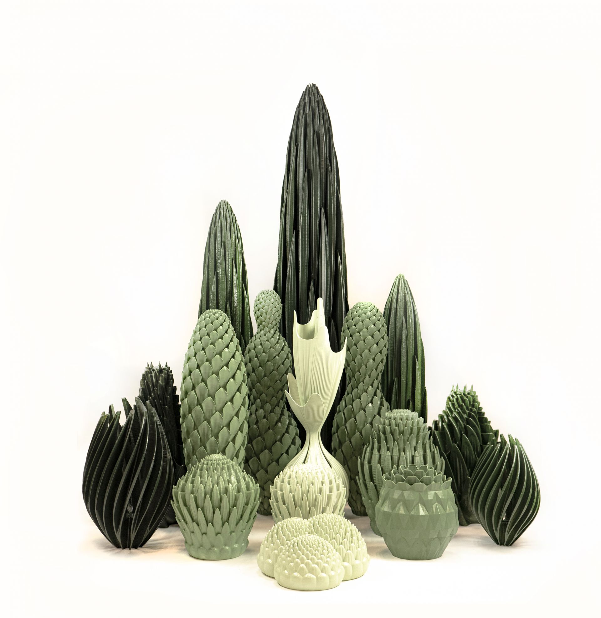 Pure Plants External Reference Lamaquina Laboh 1