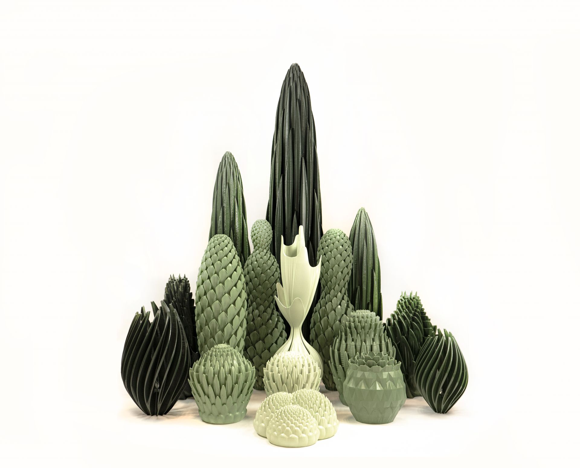 Pure Plants External Reference Lamaquina Laboh 1